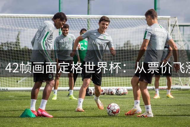 42帧画面定格世界杯：从票价飞涨到赛场风云